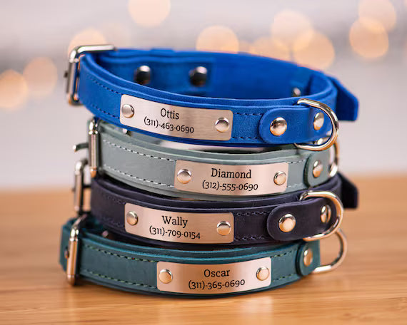 DOG LEADS AND COLLARS